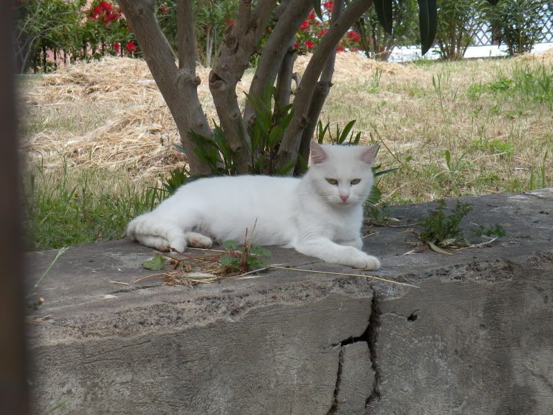 DSCN8129.jpg