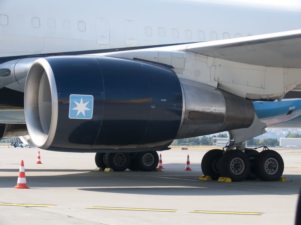 oysrk2.jpg