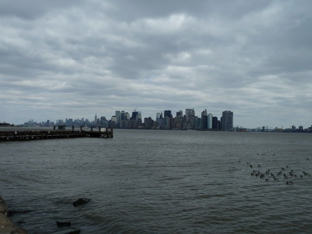 P1000377.jpg