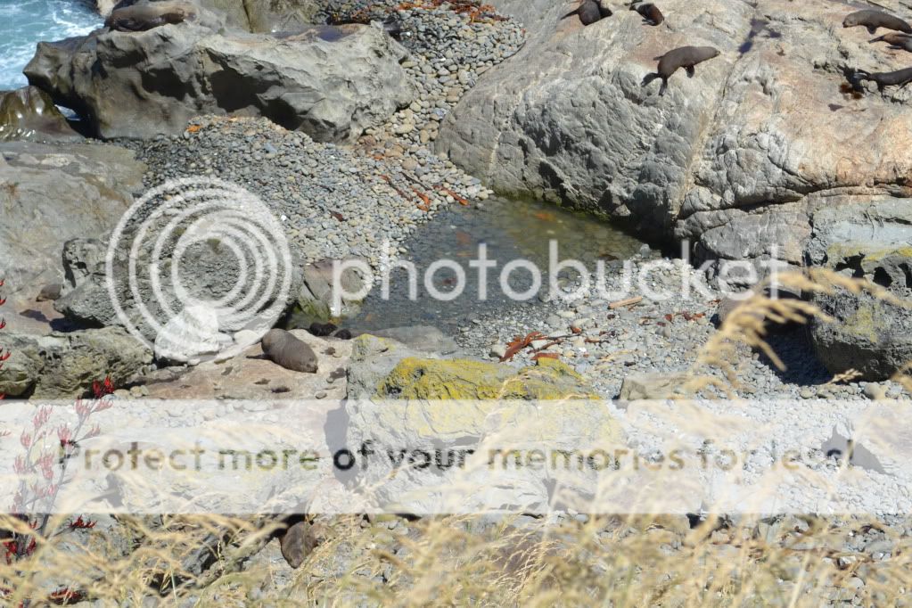 DSC_0161.jpg