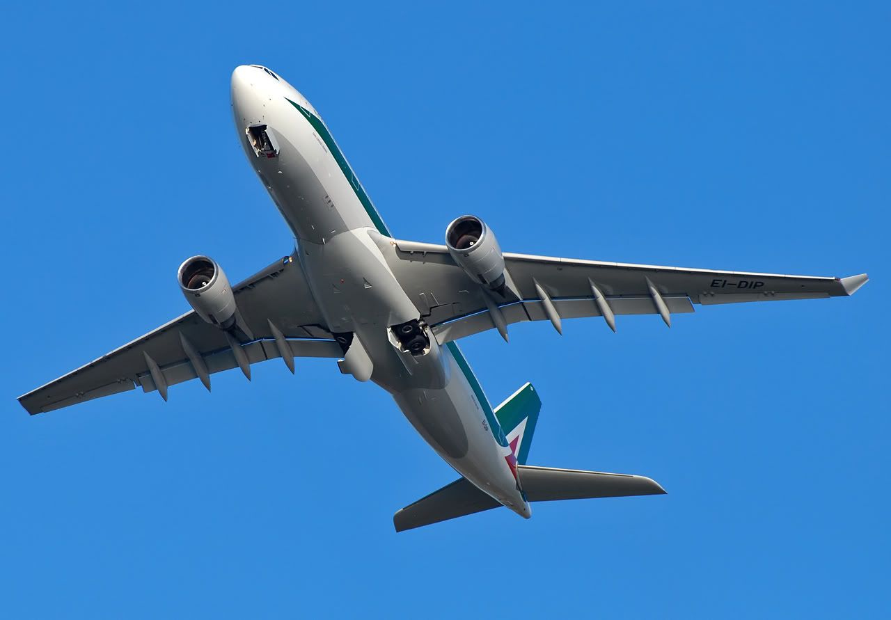 EI-DIP2.jpg