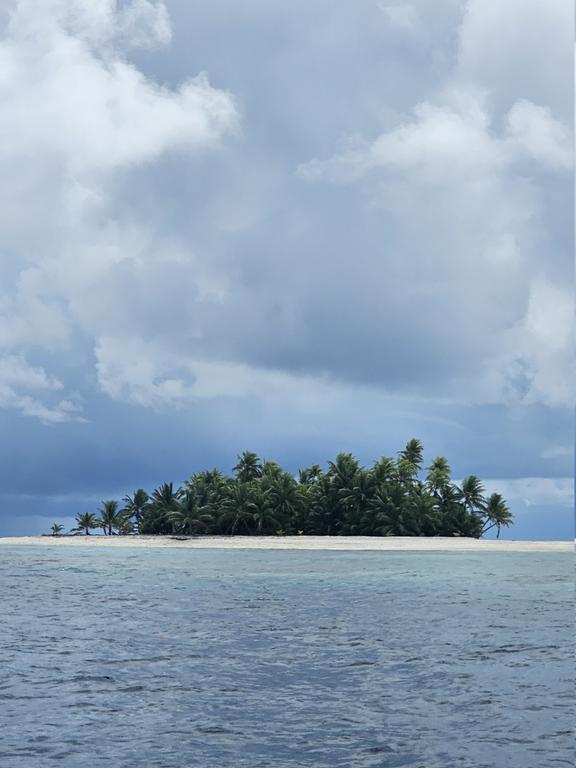 20260920-132636.jpg
