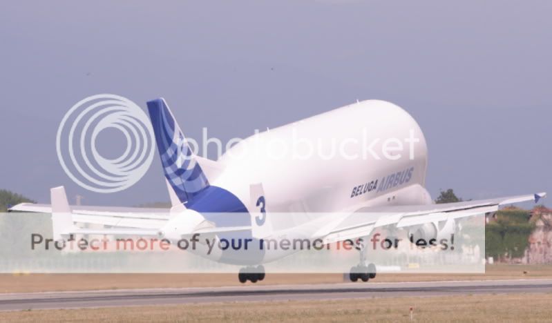 v2.jpg