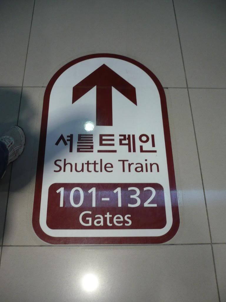 P1000322.jpg