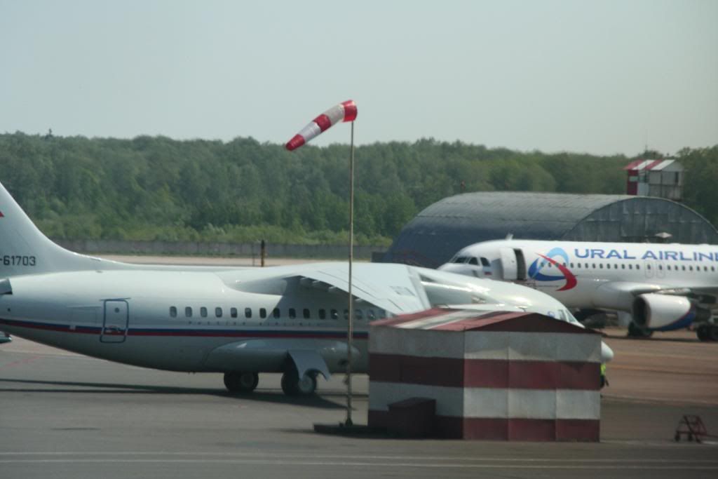 sharm111-1.jpg