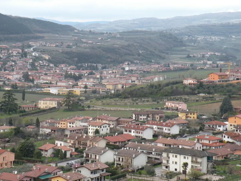 DSCN4548.jpg
