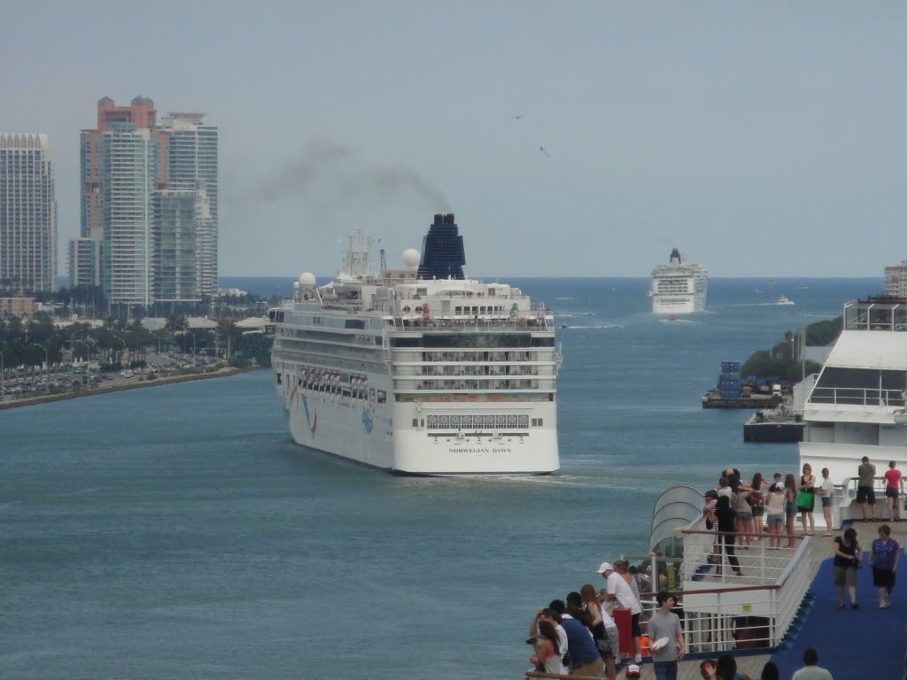 DSC05481.jpg