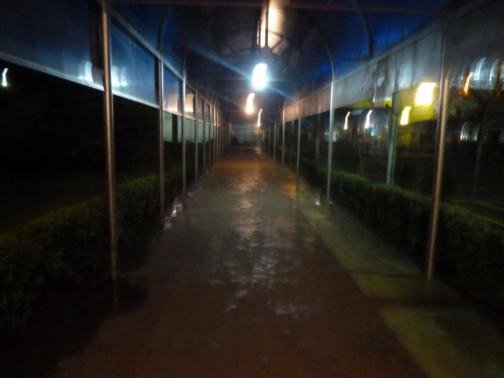 P1180776.jpg