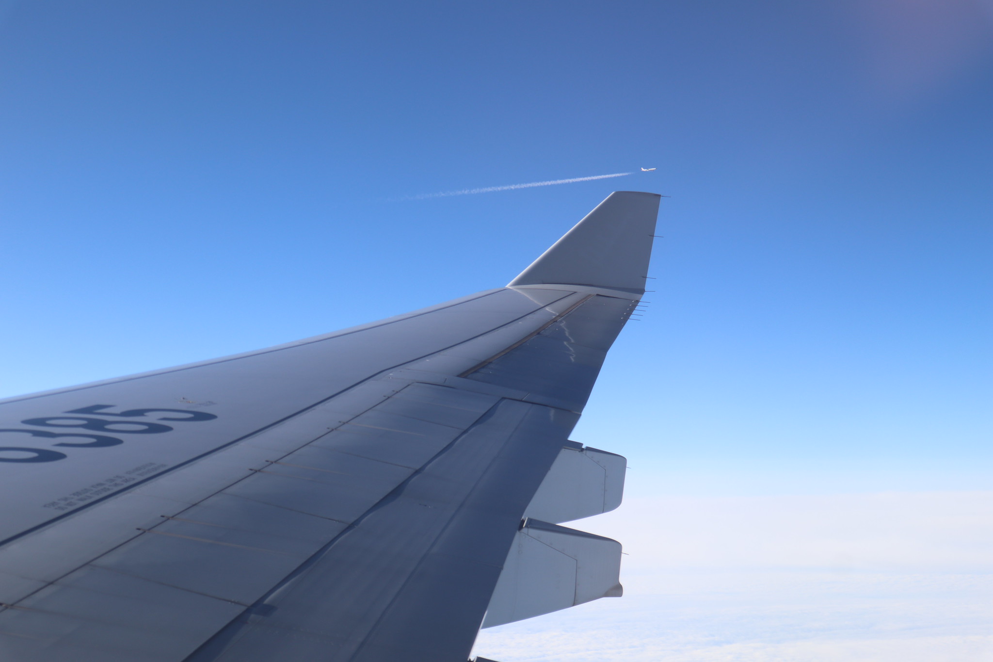 32861694727_353a075b6c_k.jpg