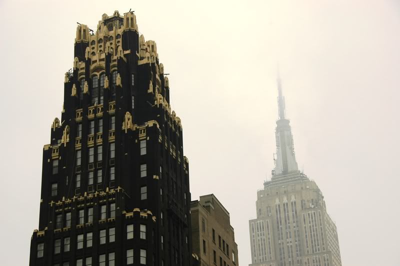DSC_8316.jpg