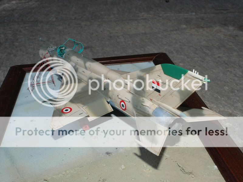 DSC_4424.jpg