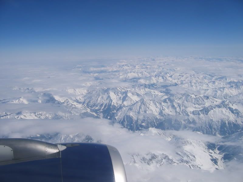 fin033.jpg