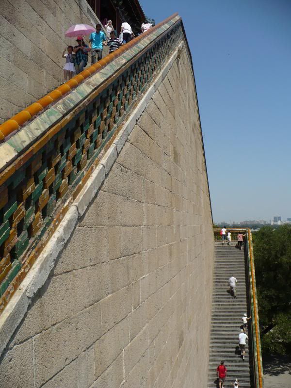 P1010837.jpg