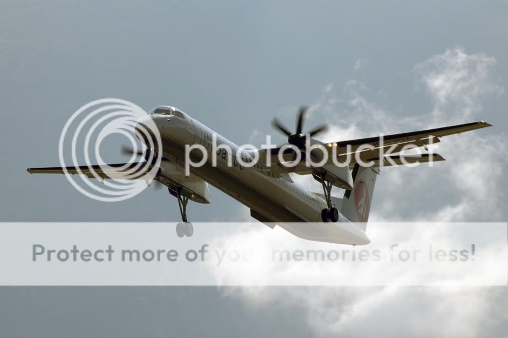 DSC_4613.jpg