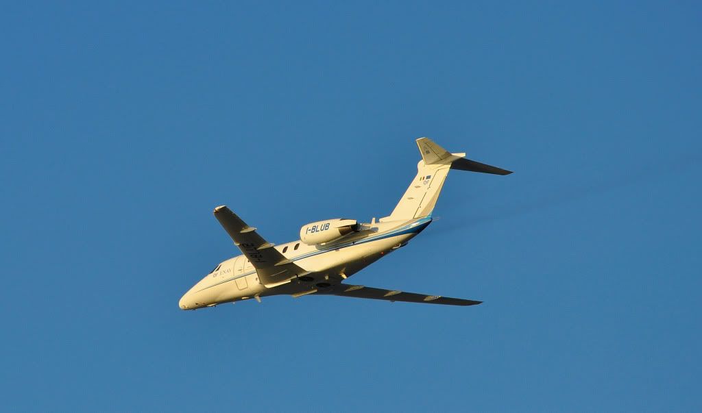 DSC_2003.jpg