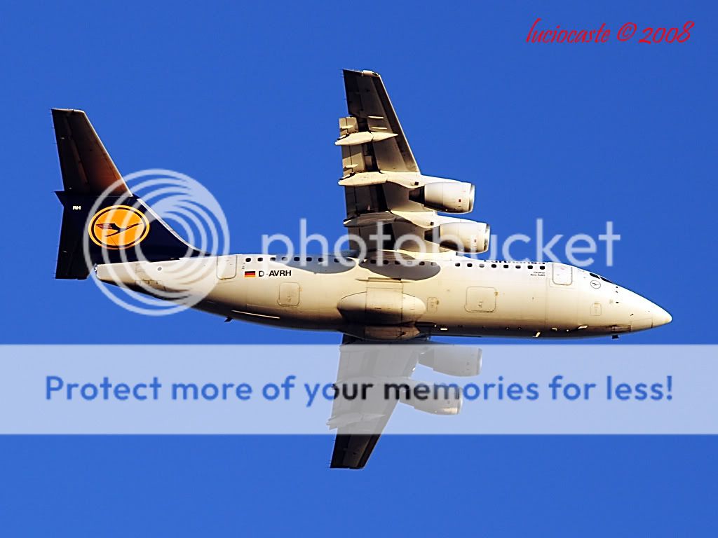 D-AVRH.jpg