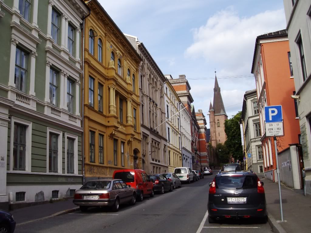 IMGP2931.jpg