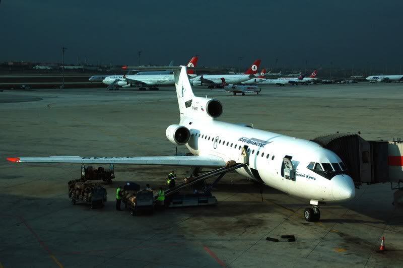 yak1.jpg