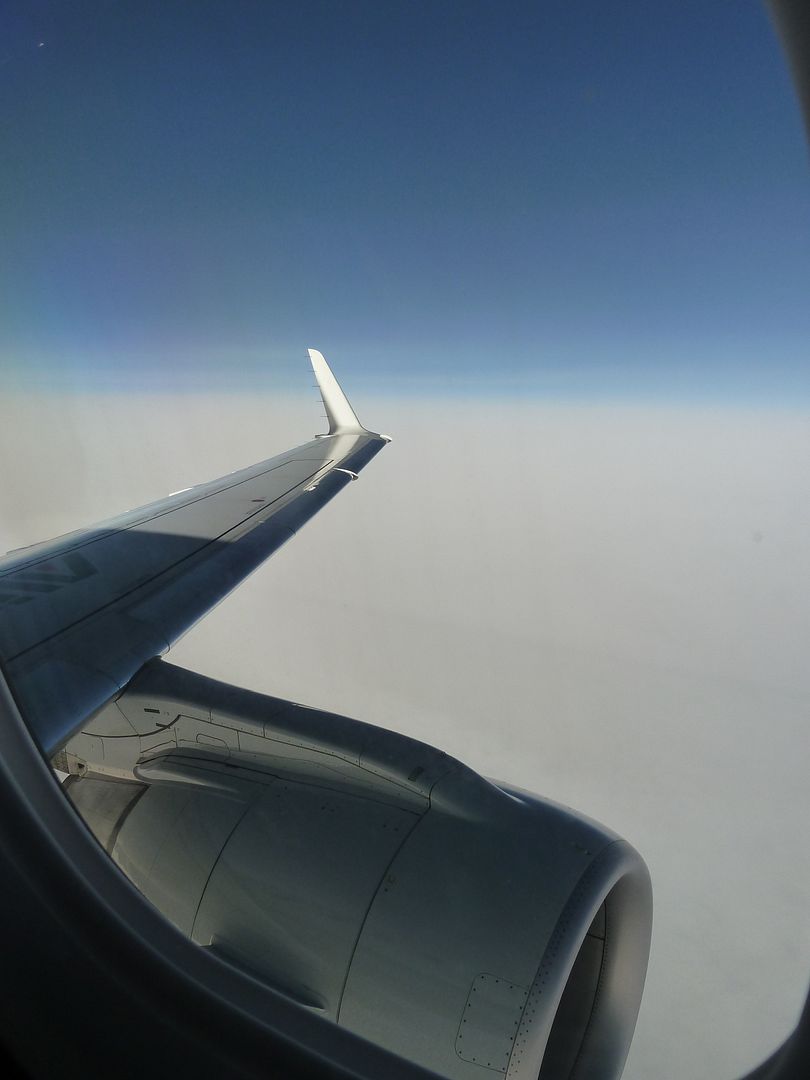 P1020669.jpg