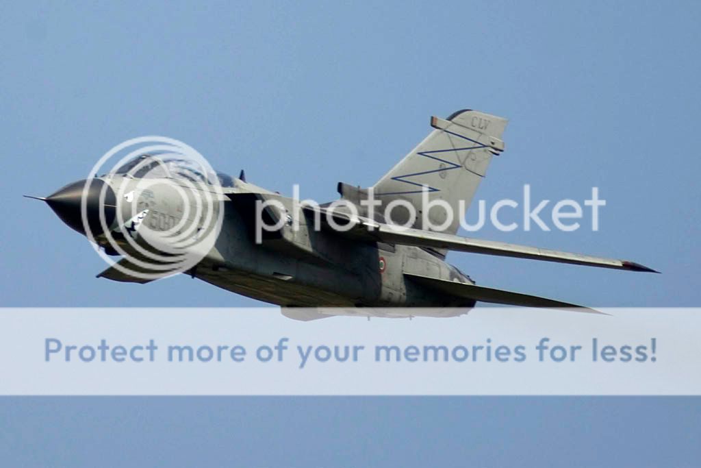 IMGP8435.jpg