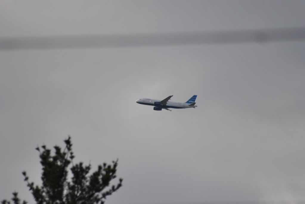 DSC_0126.jpg