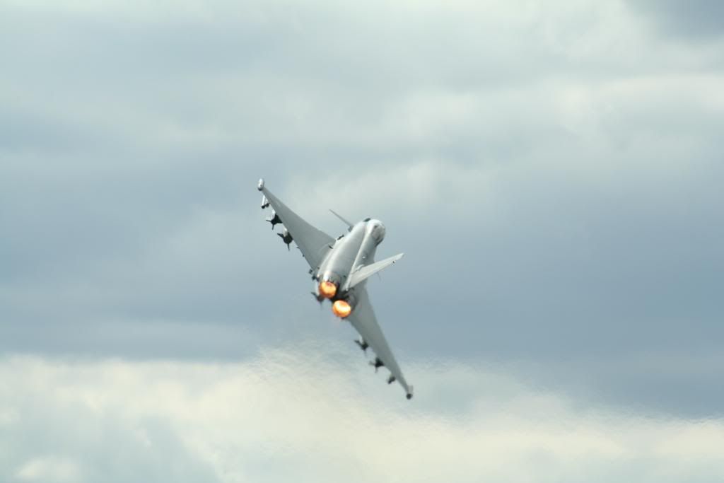 346.jpg