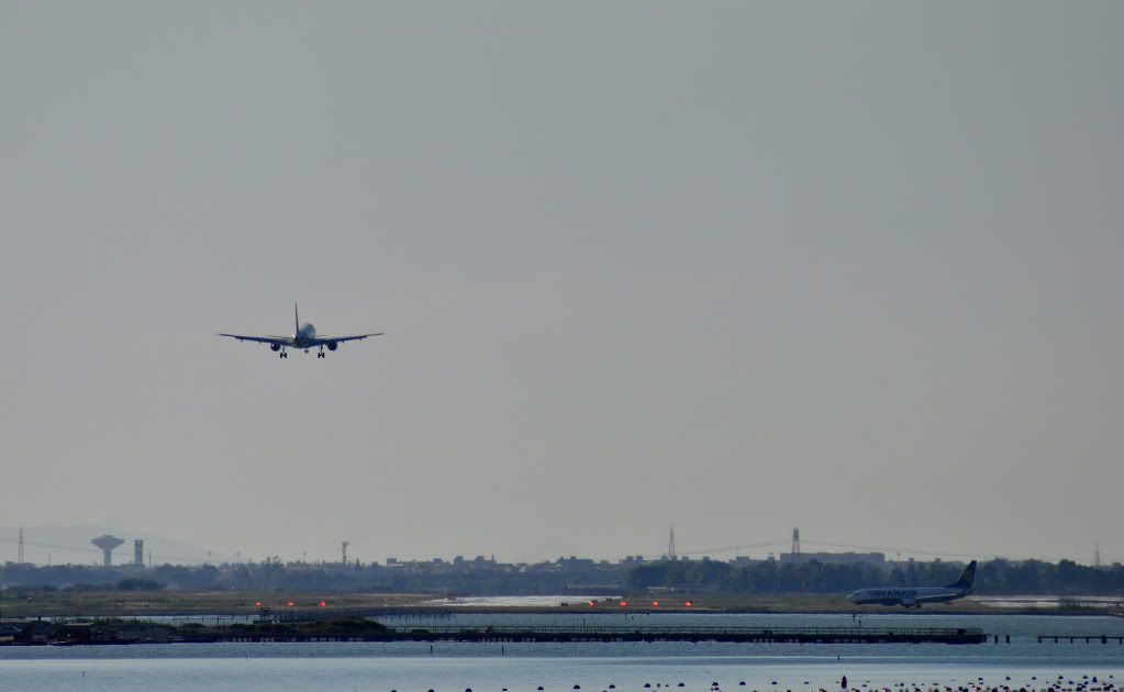 DSC_0481.jpg