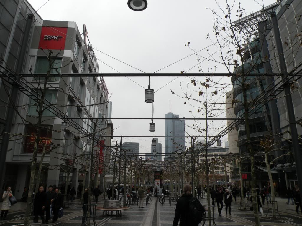 DSCN0267.jpg