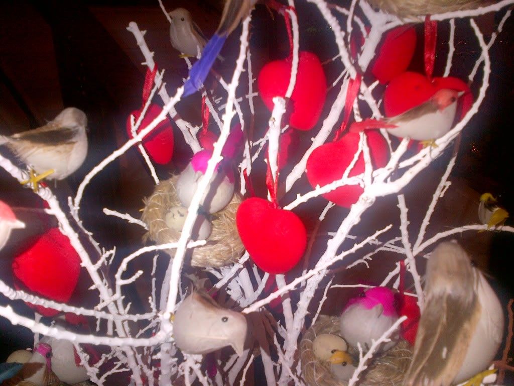 IMG-20120207-00044.jpg