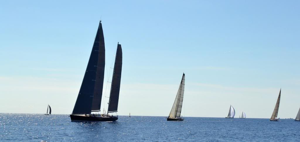 DSC_0269.jpg