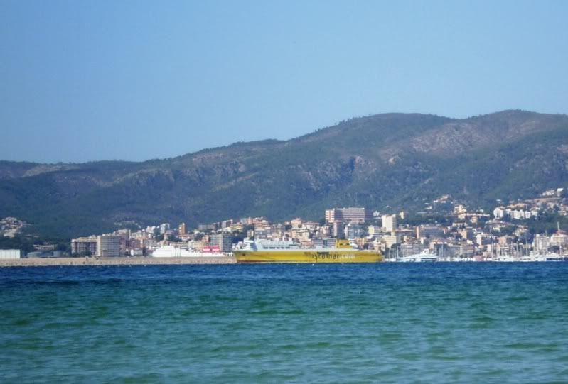 portopalma.jpg