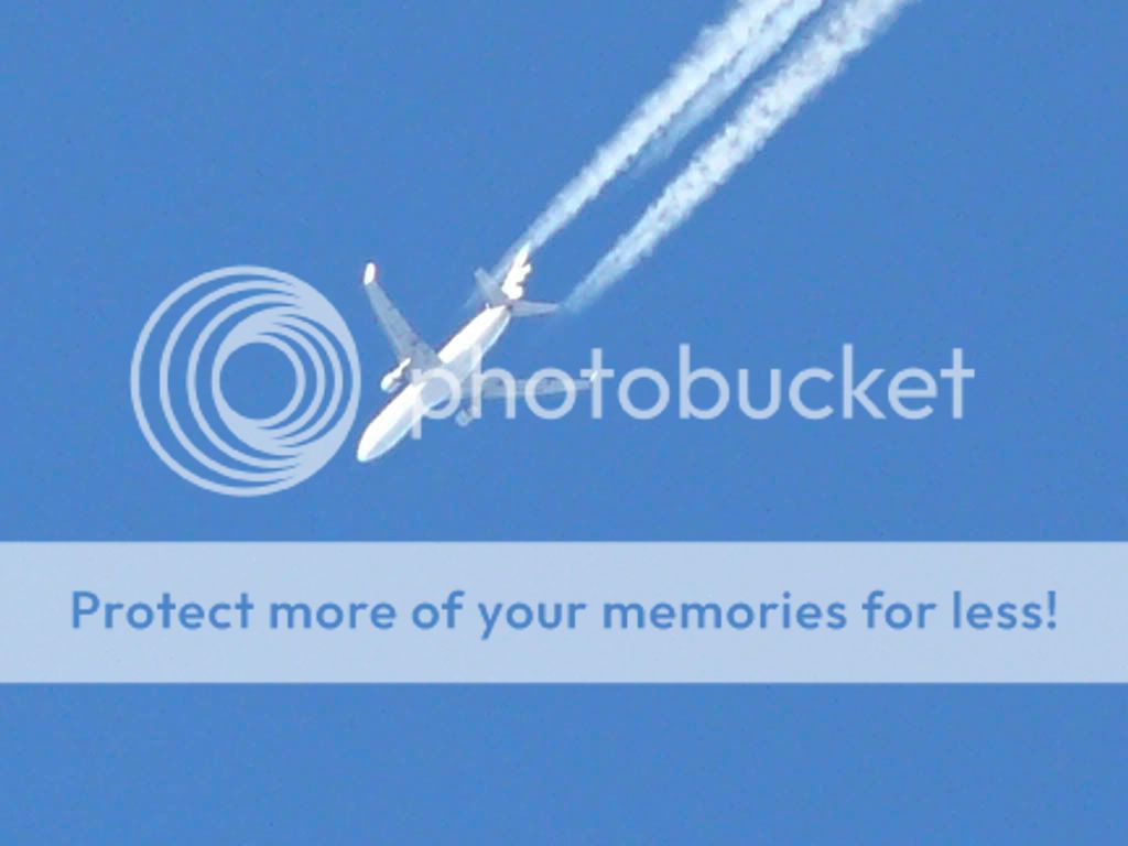 MD11SelvaSpotit-5.jpg
