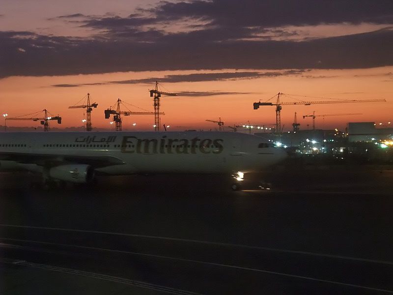 DSCF8247.jpg