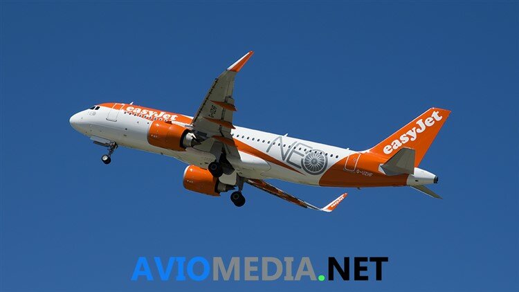 www.aviomedia.net