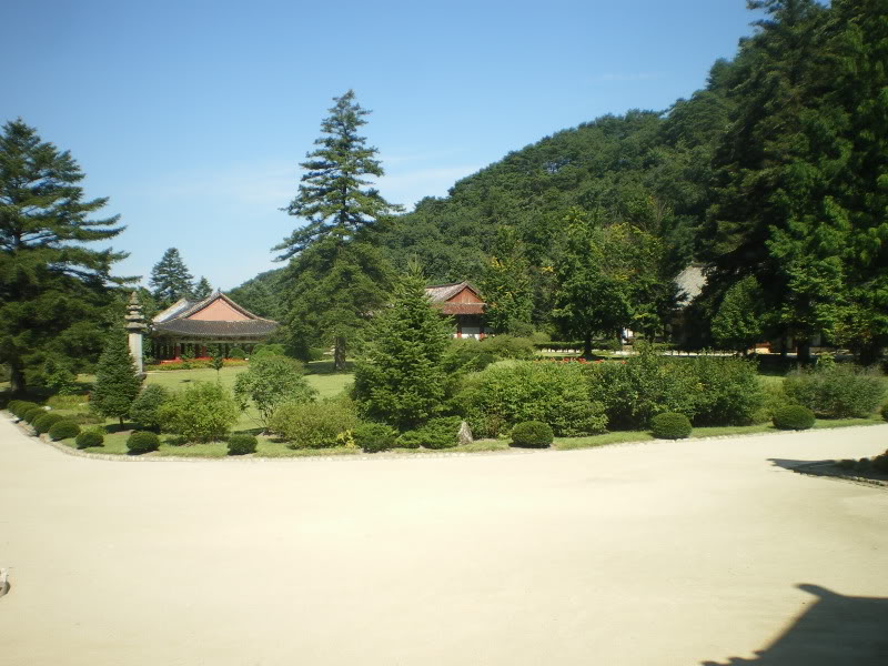IMGP5787.jpg
