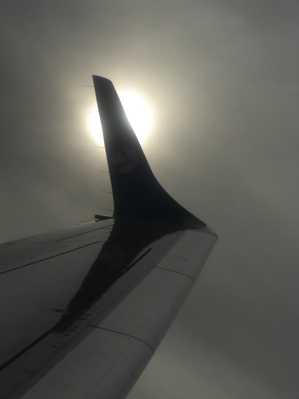 CIMG7331.jpg