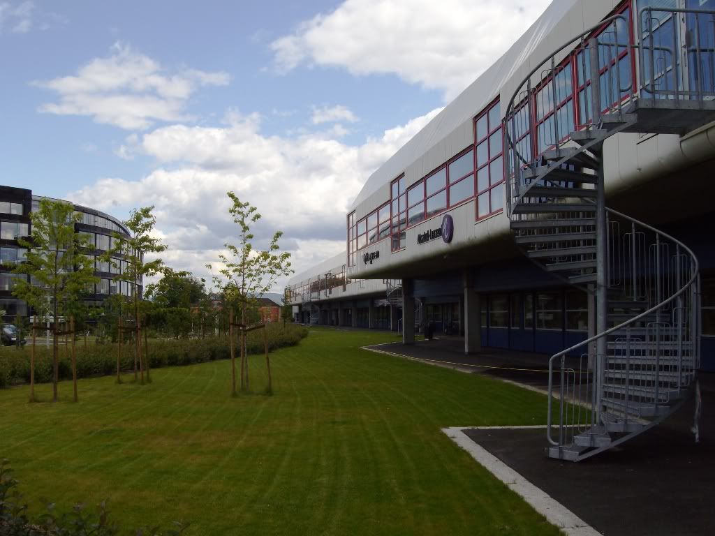 IMGP3156.jpg