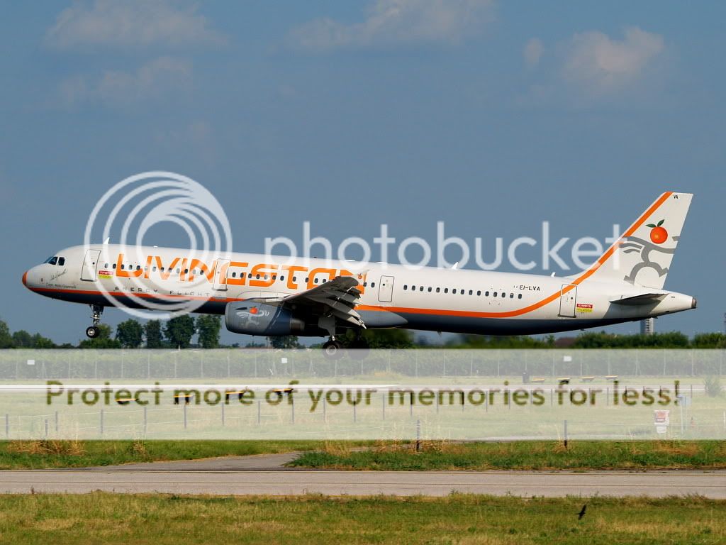 AM279346.jpg