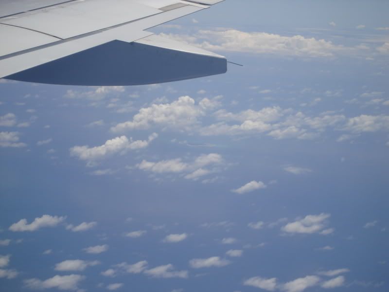 DSC00421.jpg