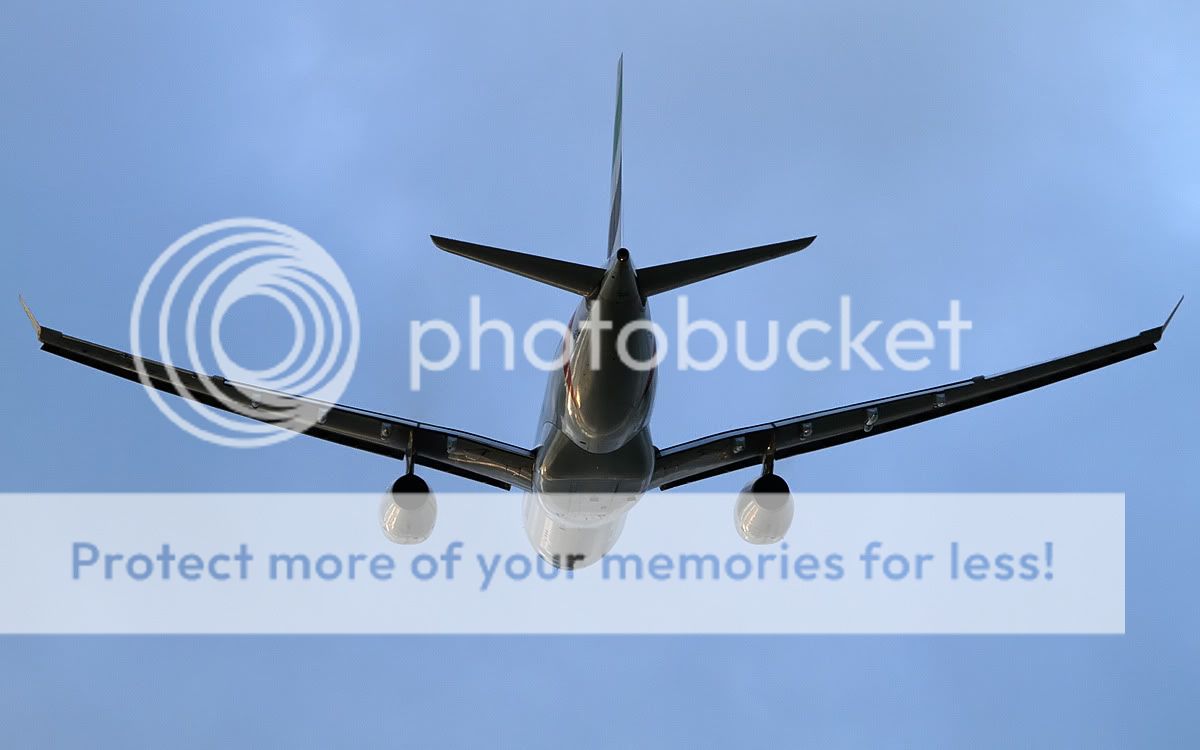 330emiratesb.jpg