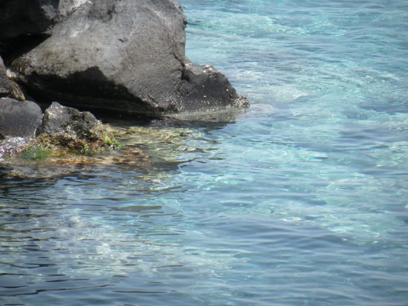 DSCN8131.jpg