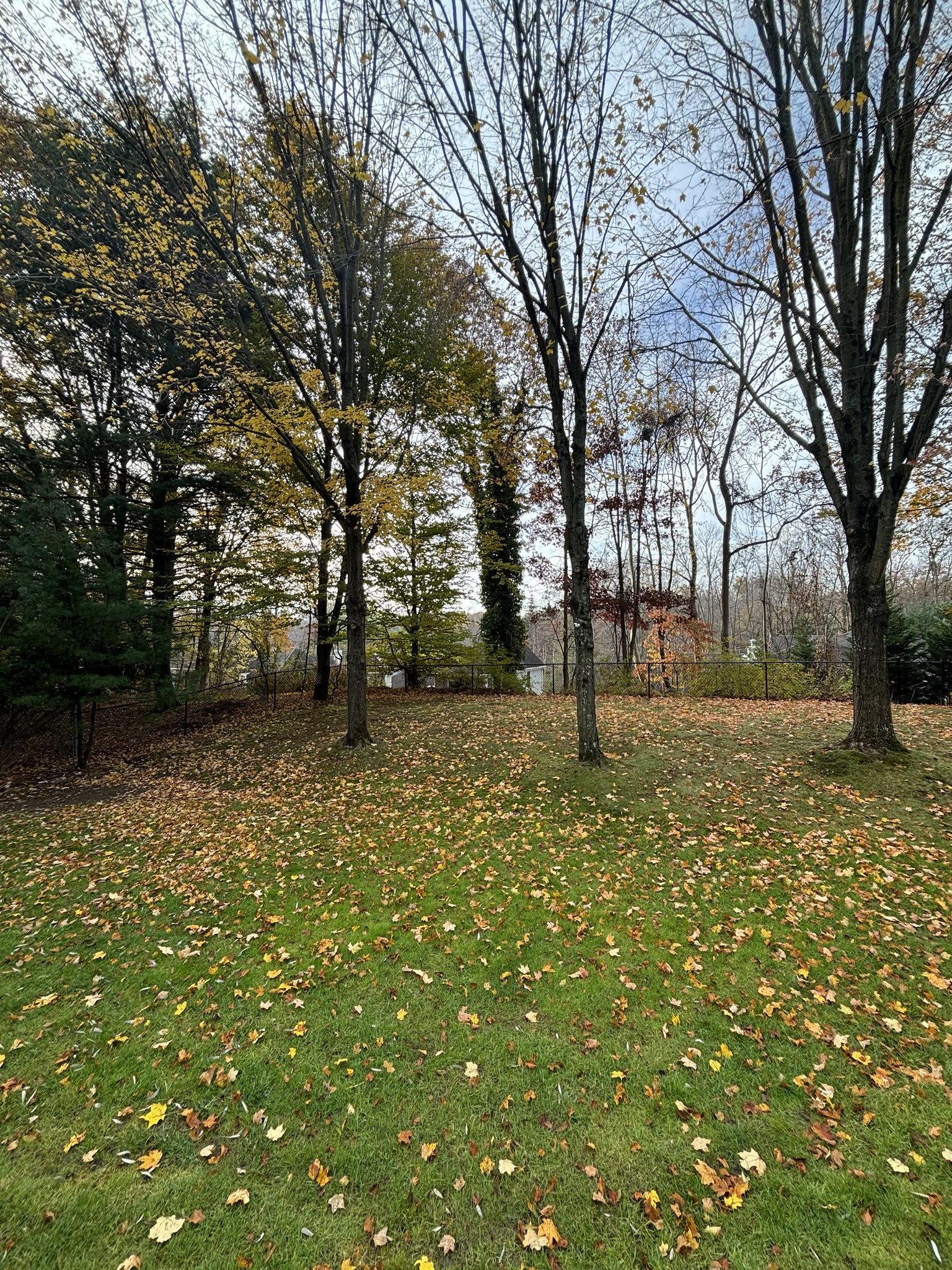 53357284185_0d98d30c43_k.jpg