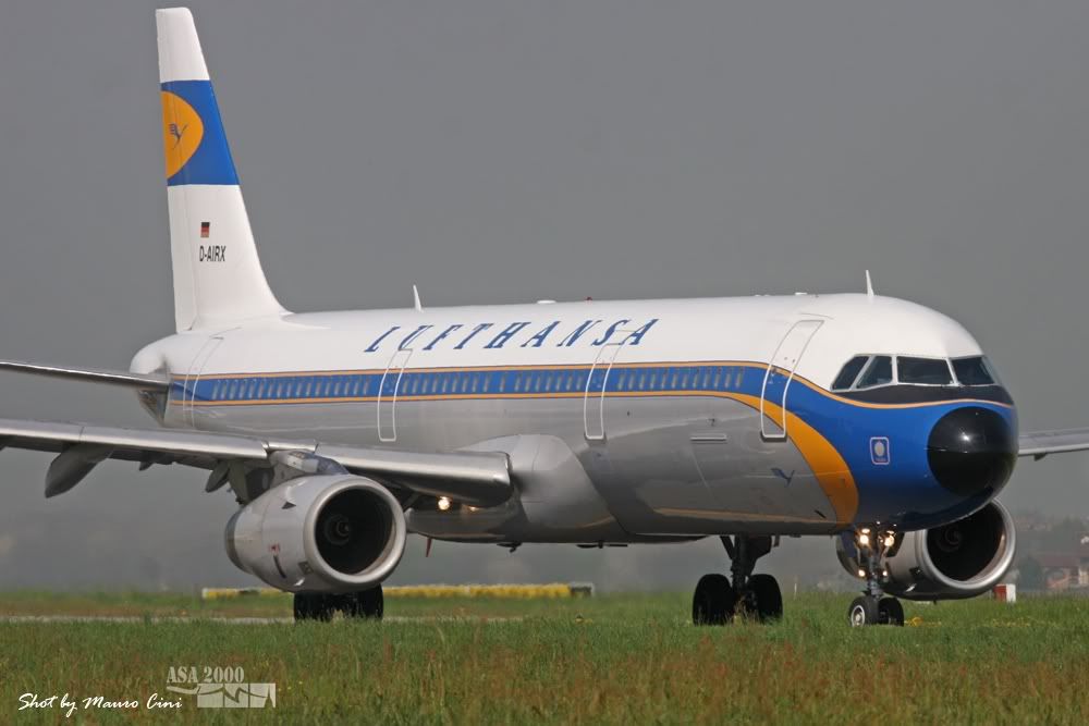 TRN070420112ByMauroCinicopia.jpg
