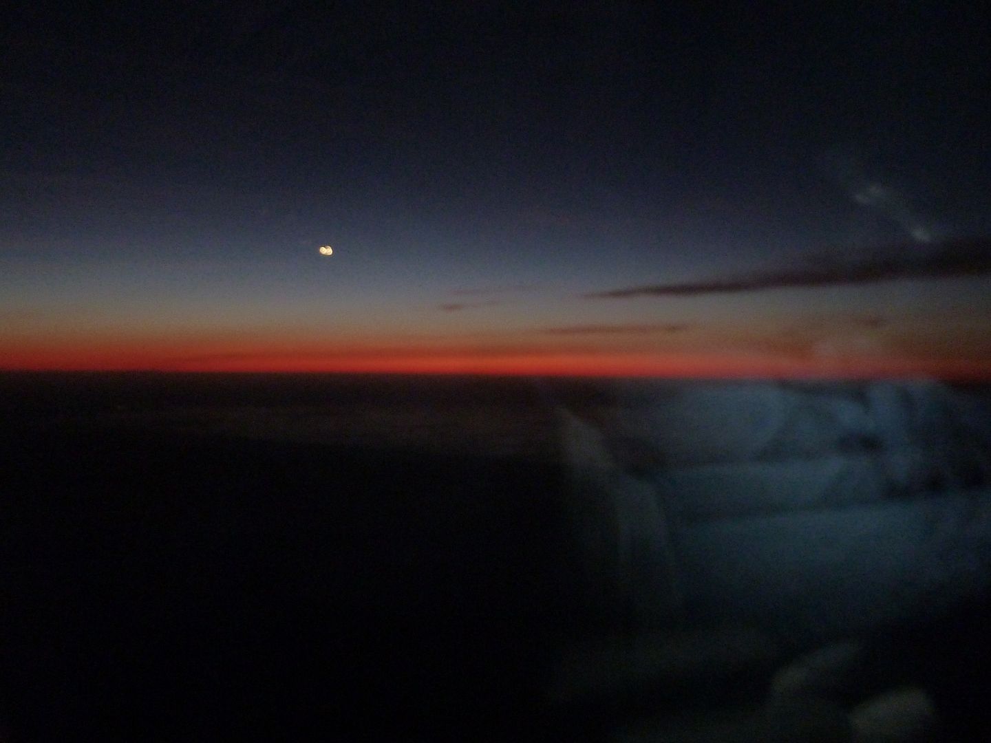 P1020370.jpg