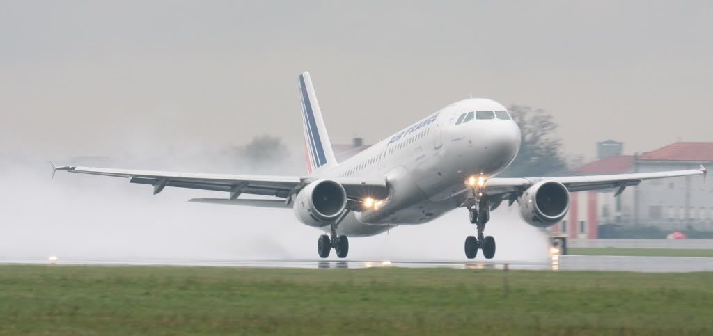 321-9.jpg
