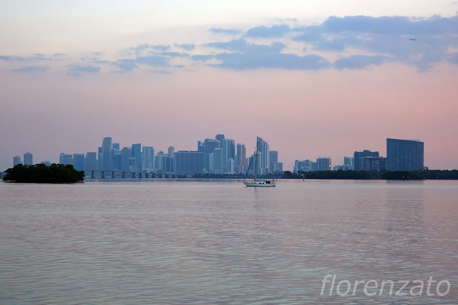 IMG_9231tr.jpg