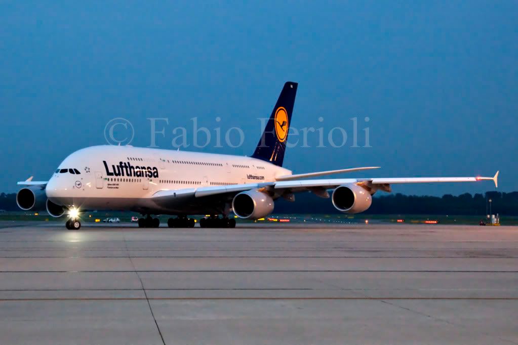 D-AIMA6.jpg