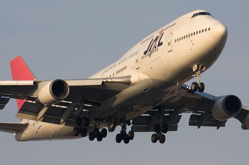 jal.jpg
