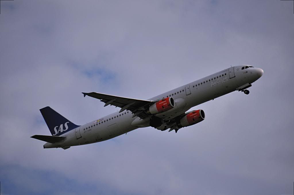 DSC_8422.jpg