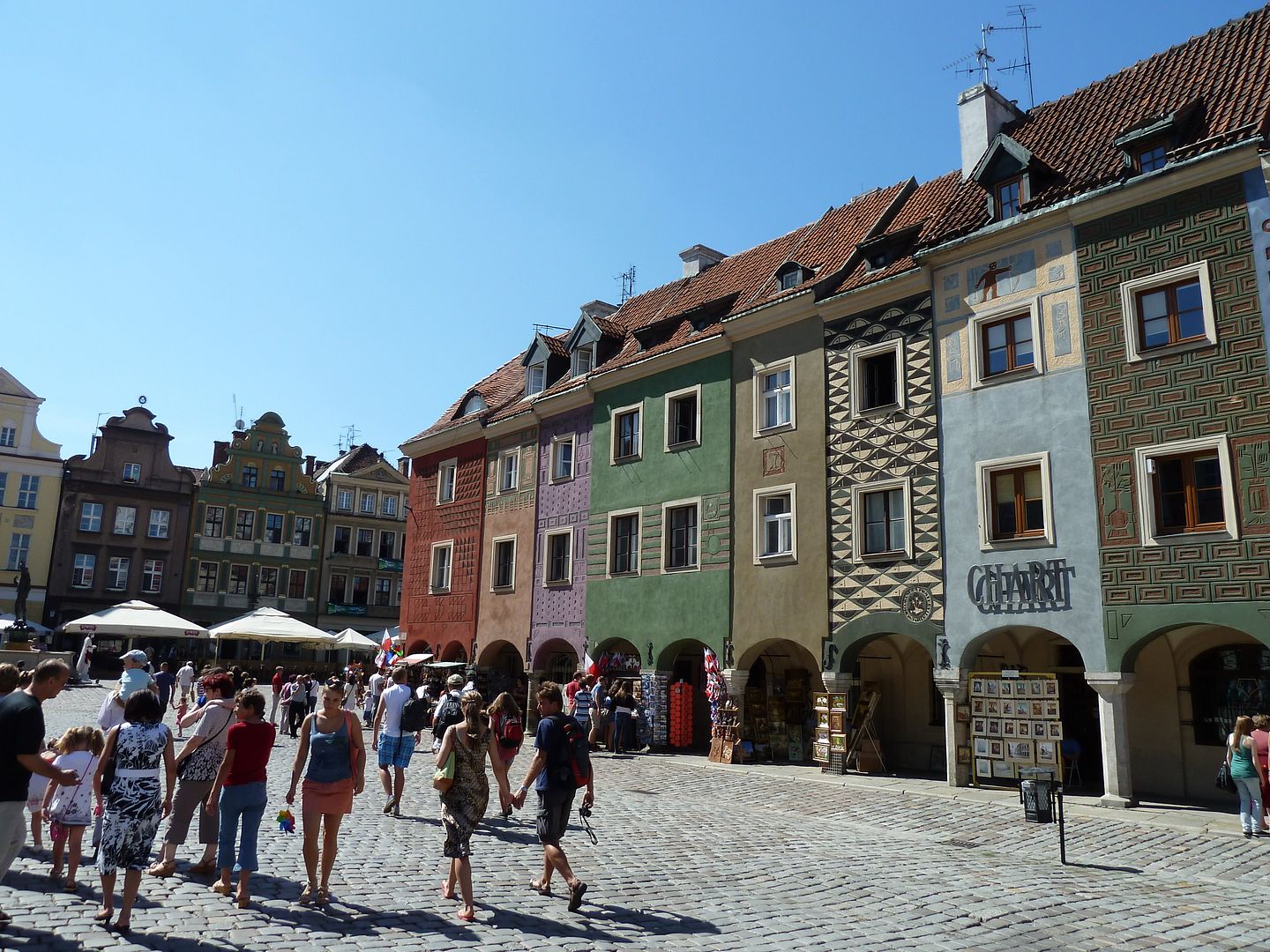 P1030572.jpg